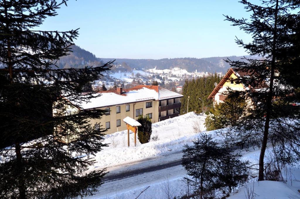 Hotel Pension Waldbaude Warmensteinach Εξωτερικό φωτογραφία