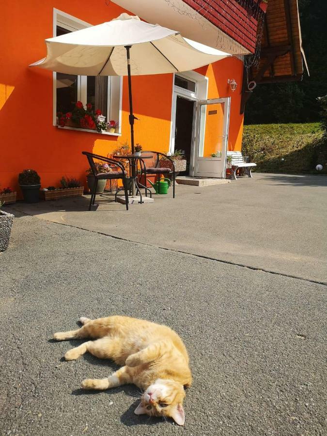 Hotel Pension Waldbaude Warmensteinach Εξωτερικό φωτογραφία